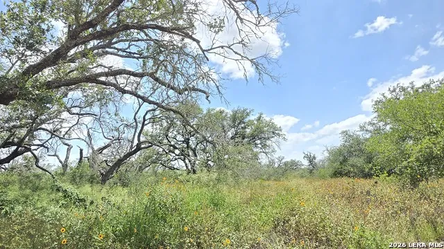 289 ZIGMOND RD Poteet, TX 78065