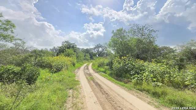 289 ZIGMOND RD Poteet, TX 78065