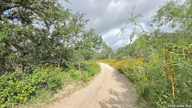 289 ZIGMOND RD Poteet, TX 78065
