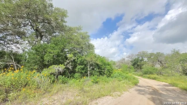 289 ZIGMOND RD Poteet, TX 78065