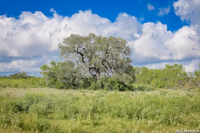 10385 S Foster Rd San Antonio, TX 78223