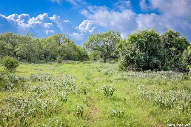 10385 S Foster Rd San Antonio, TX 78223