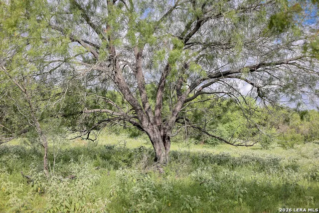 10385 S Foster Rd San Antonio, TX 78223