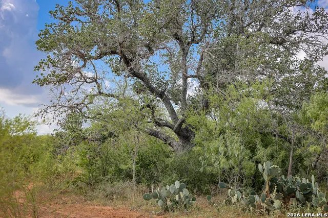 10385 S Foster Rd San Antonio, TX 78223