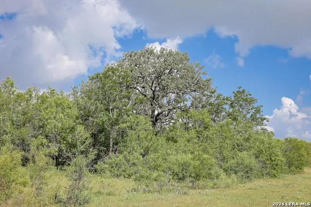 10385 S Foster Rd San Antonio, TX 78223