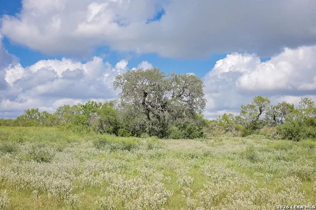 10385 S Foster Rd San Antonio, TX 78223