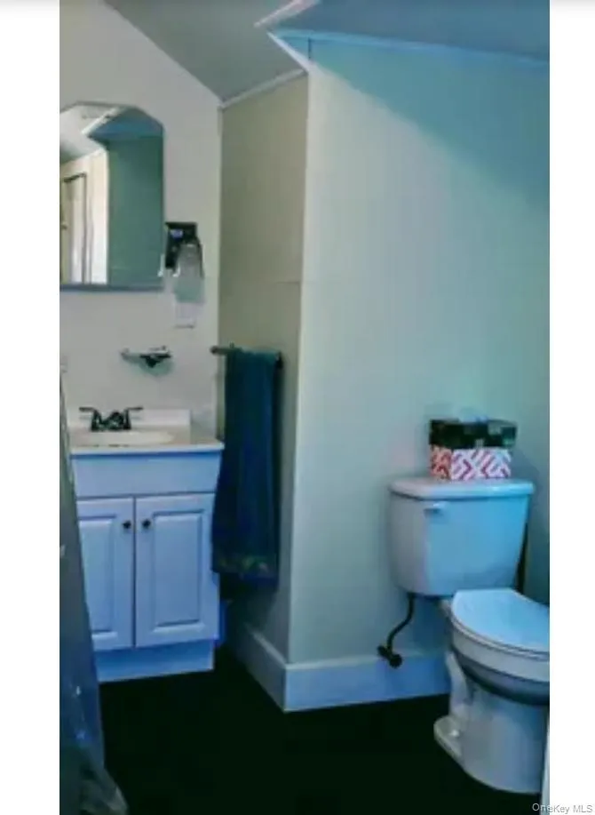 10 Spring Street Tannersville, NY 12485