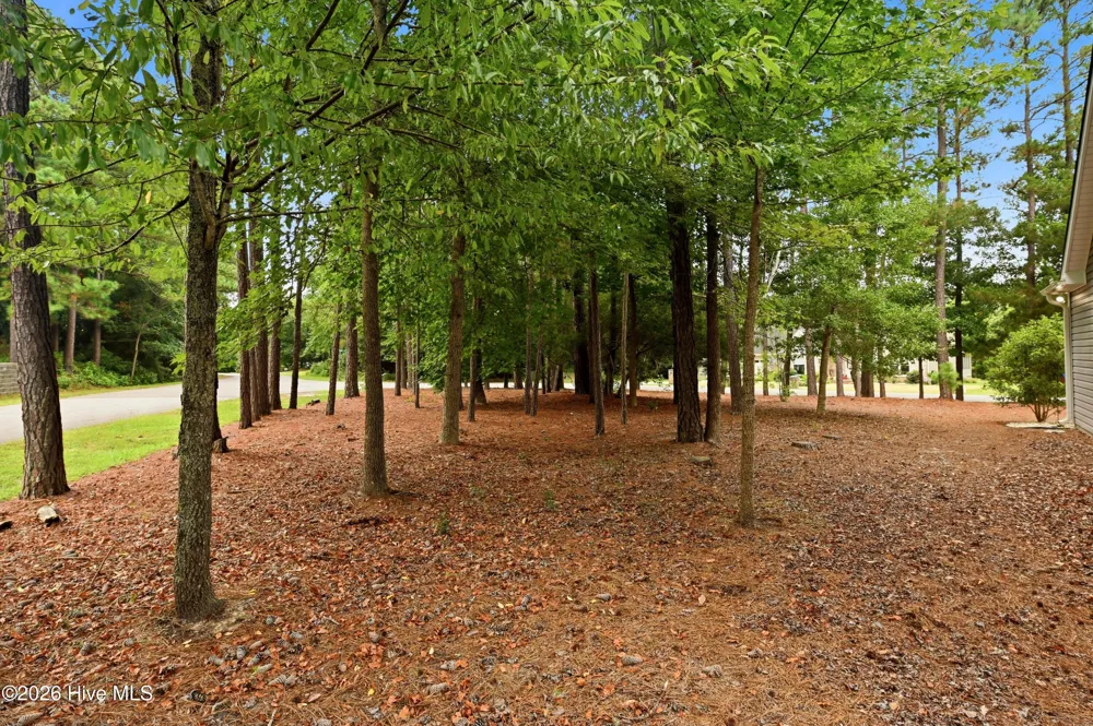 100 Hickory Circle Hampstead, NC 28443