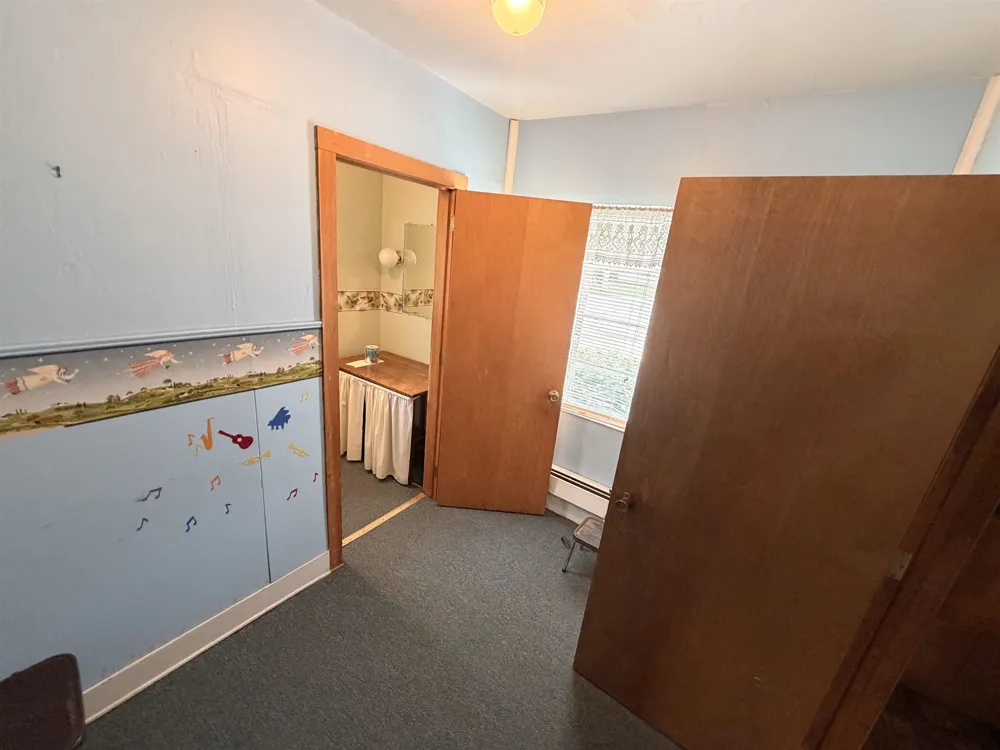 1117 Michigan Avenue Alma City, MI 48801