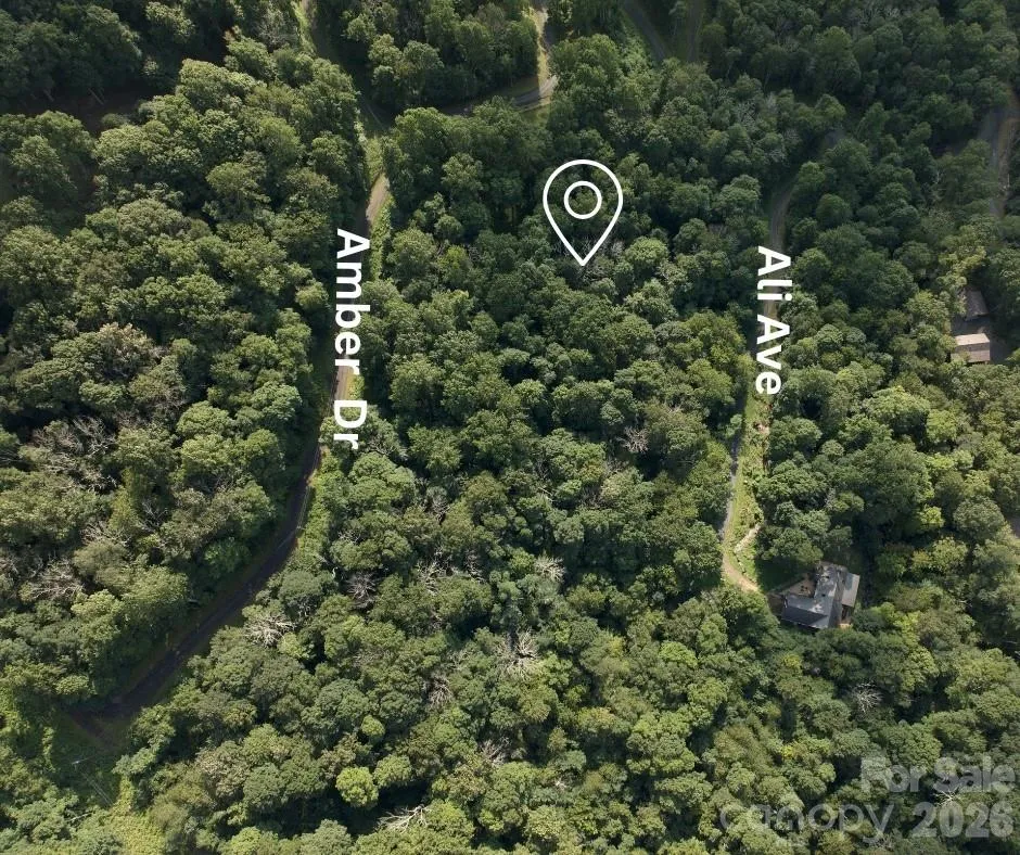 TBD Ali Avenue #5 Bakersville, NC 28705