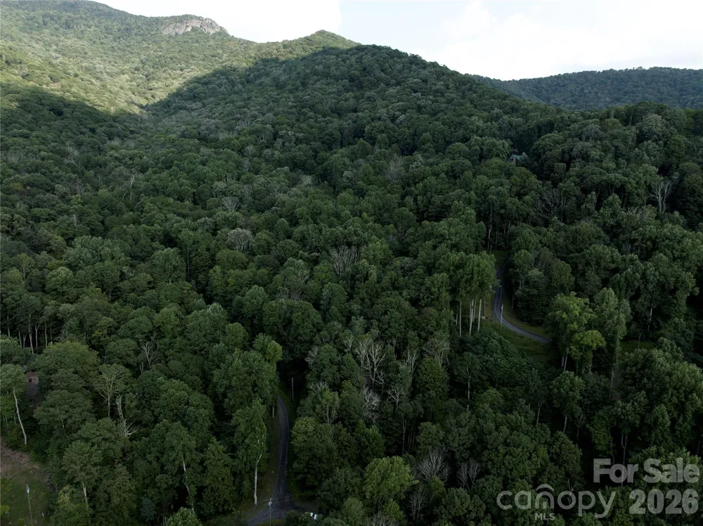 TBD Ali Avenue #5 Bakersville, NC 28705