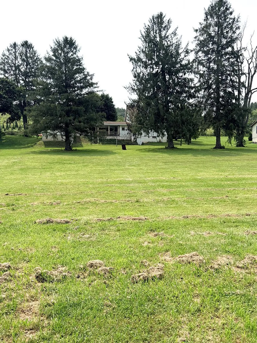 6620 SPRING ROAD Shermans Dale, PA 17090