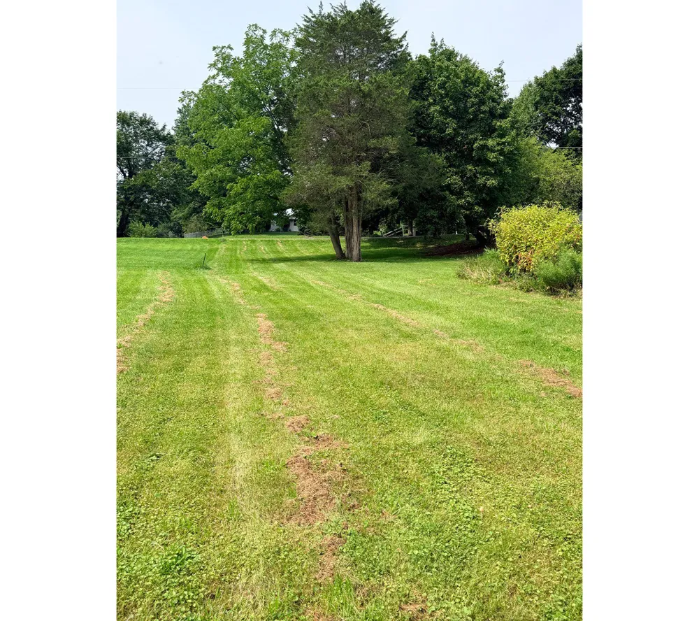 6620 SPRING ROAD Shermans Dale, PA 17090