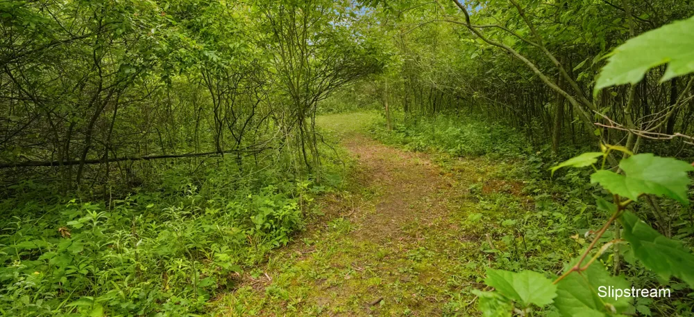 1401 S Miner Road Crystal, MI 48818