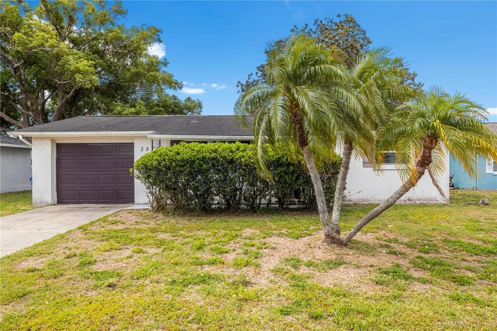 3510 WILSON DRIVE Holiday, FL 34691