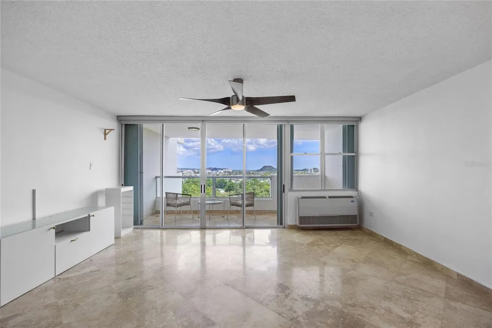 146 Ave Santa Ana BOSQUE DE LA VILLA DE TORRIMAR #C-PH-D Guaynabo, PR 00971