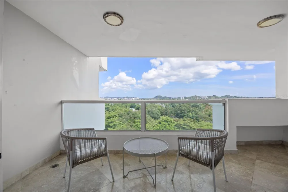 146 Ave Santa Ana BOSQUE DE LA VILLA DE TORRIMAR #C-PH-D Guaynabo, PR 00971