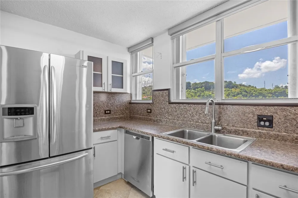 146 Ave Santa Ana BOSQUE DE LA VILLA DE TORRIMAR #C-PH-D Guaynabo, PR 00971