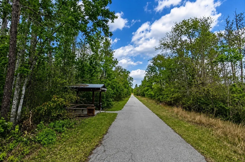 00 VAN FLEET TRAIL Polk City, FL 33868