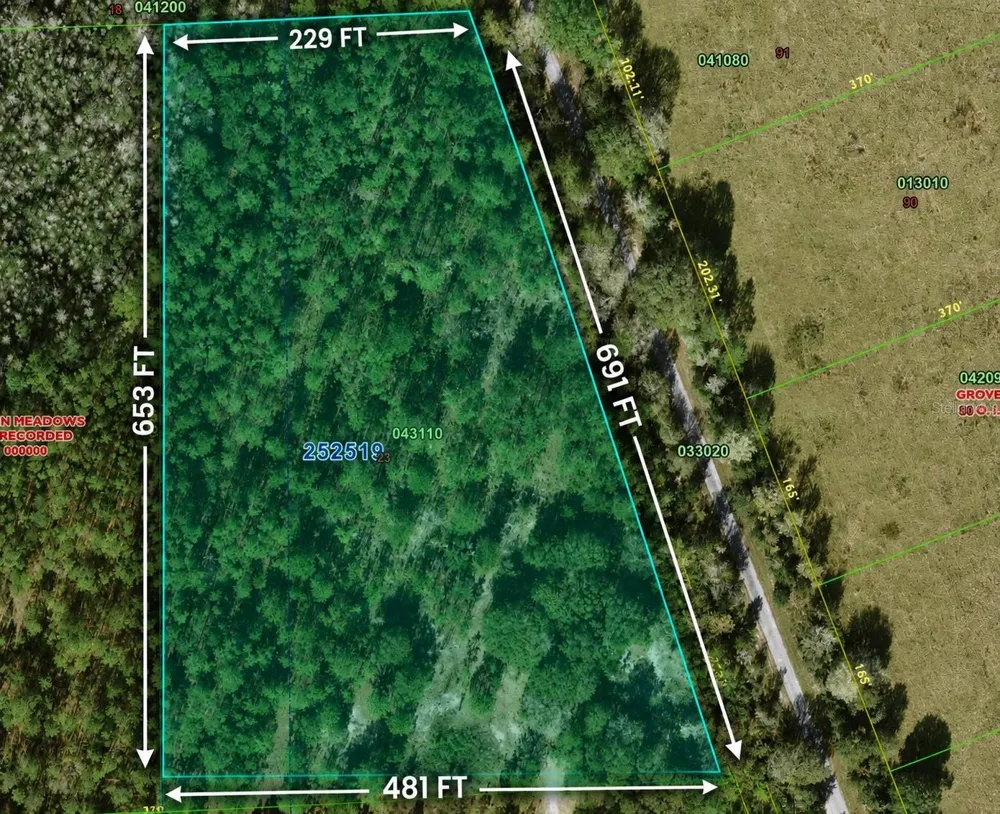 00 VAN FLEET TRAIL Polk City, FL 33868