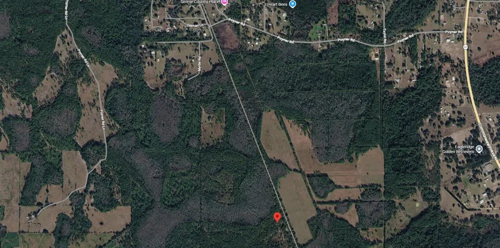 00 VAN FLEET TRAIL Polk City, FL 33868