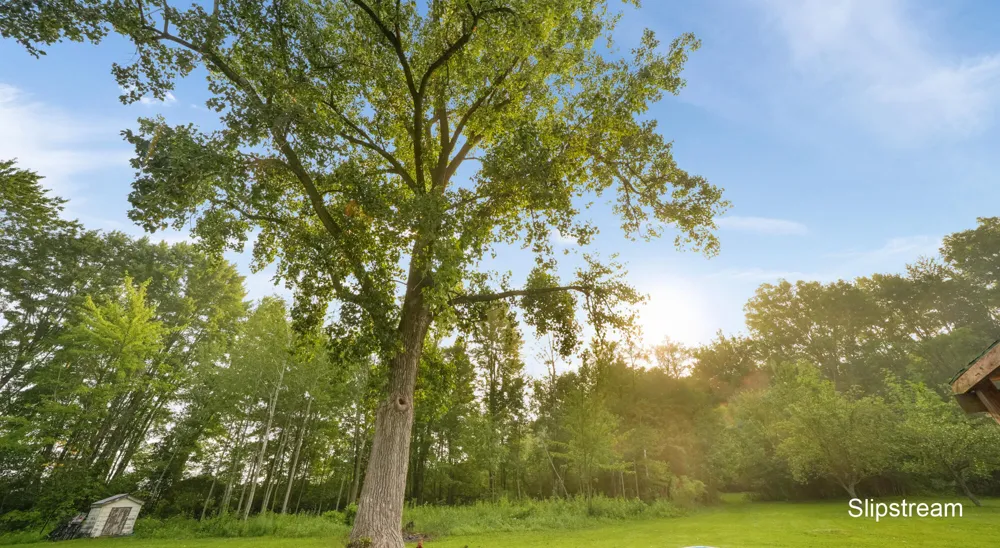 1401 S Miner Road Crystal Township, MI 48818