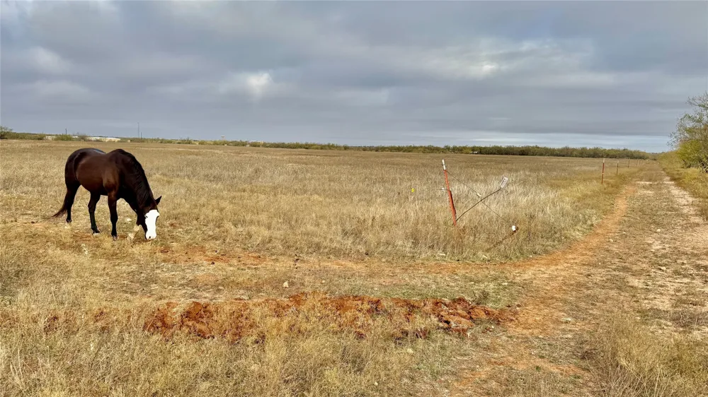 Iberis Road Abilene, TX 79606