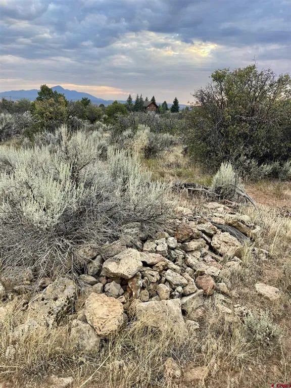 12 Road 26.4 Dolores, CO 81323