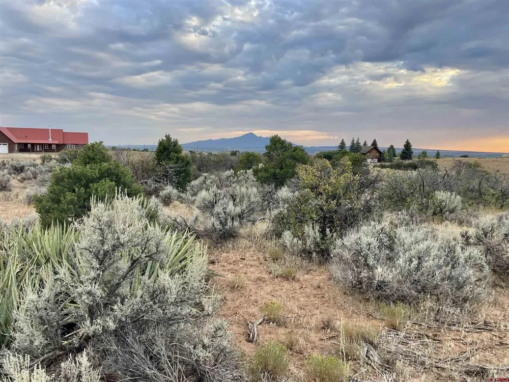12 Road 26.4 Dolores, CO 81323