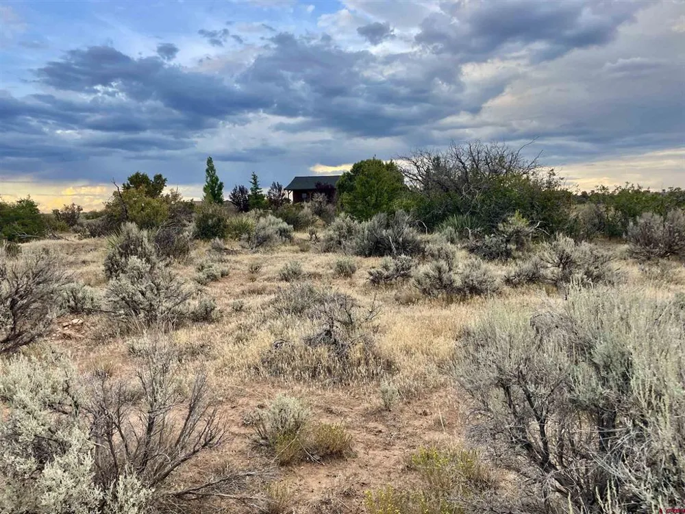 12 Road 26.4 Dolores, CO 81323