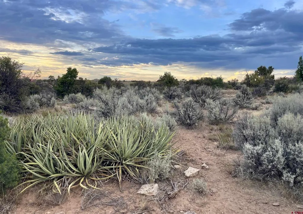12 Road 26.4 Dolores, CO 81323