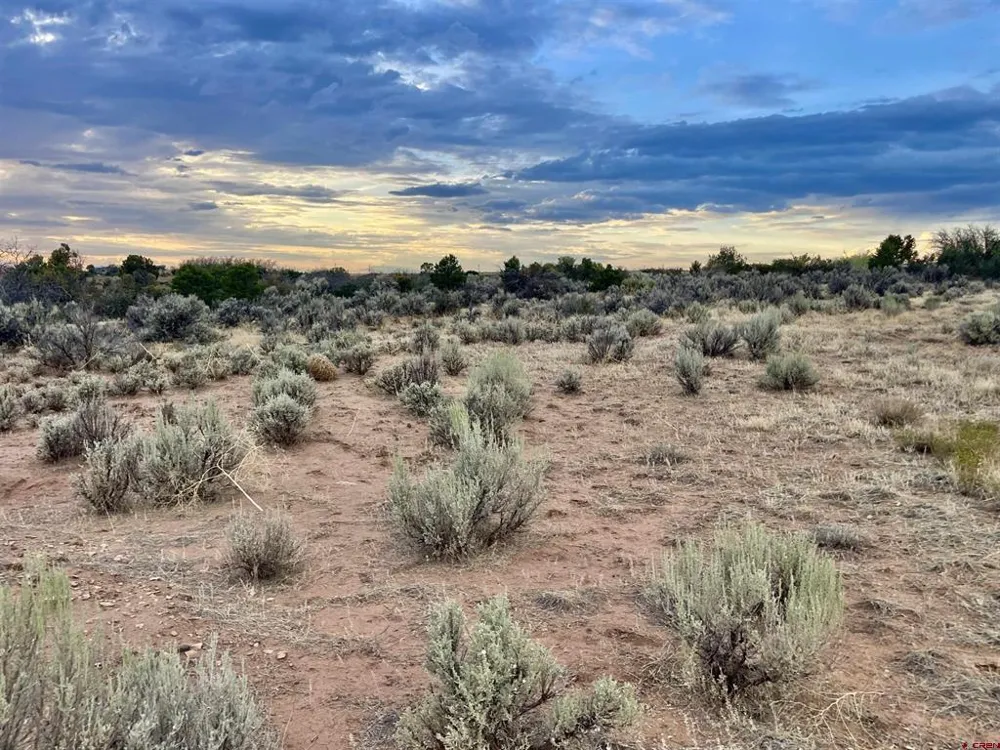 12 Road 26.4 Dolores, CO 81323
