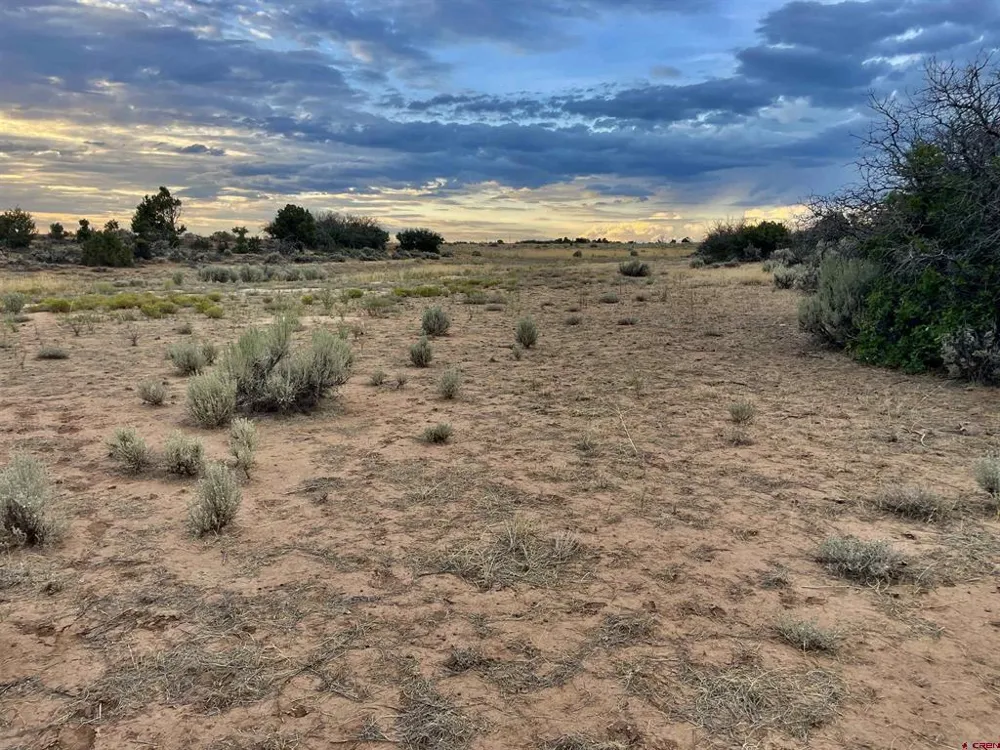 12 Road 26.4 Dolores, CO 81323