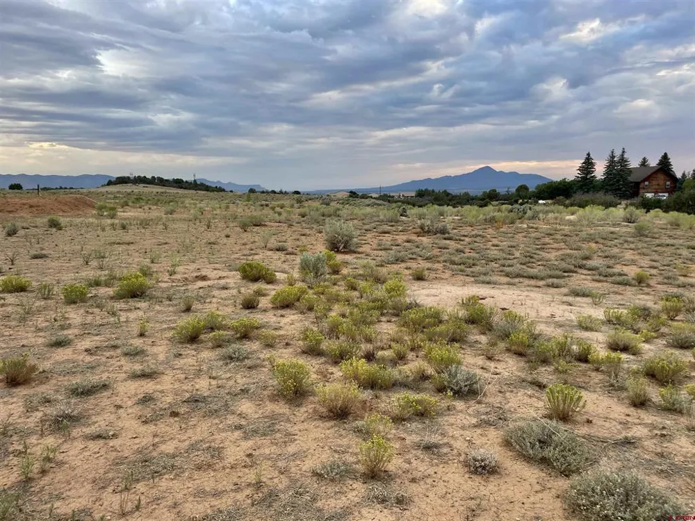 12 Road 26.4 Dolores, CO 81323