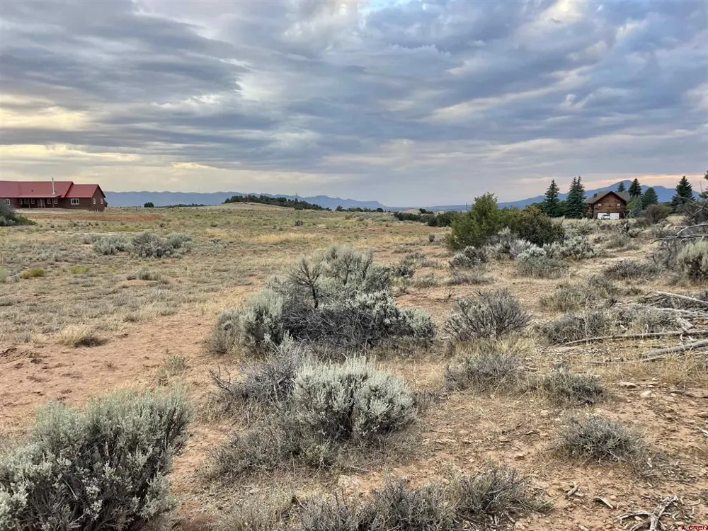 12 Road 26.4 Dolores, CO 81323