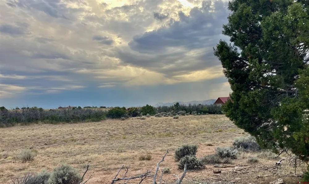 12 Road 26.4 Dolores, CO 81323