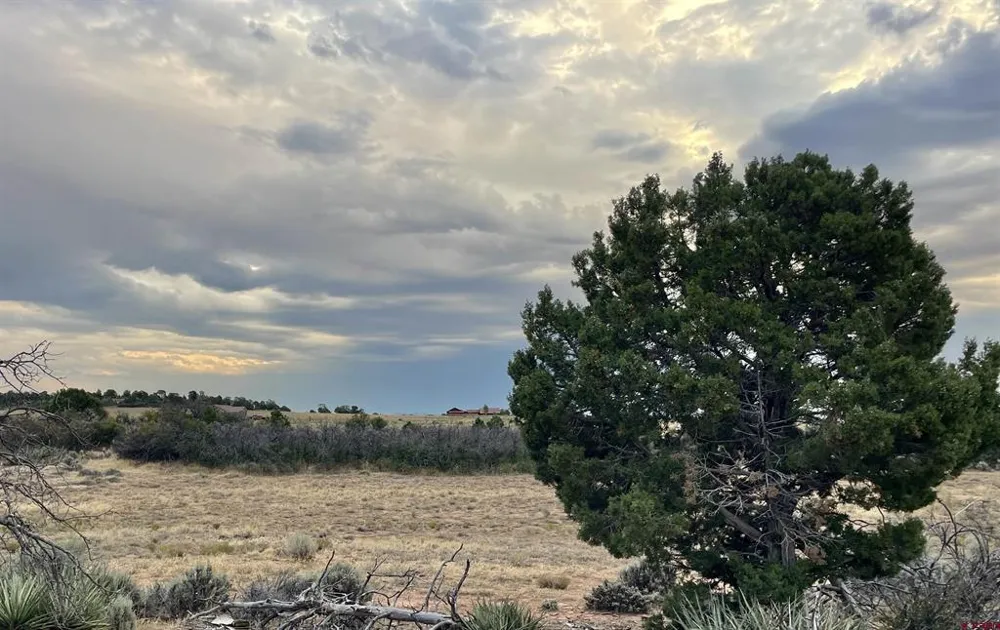 12 Road 26.4 Dolores, CO 81323