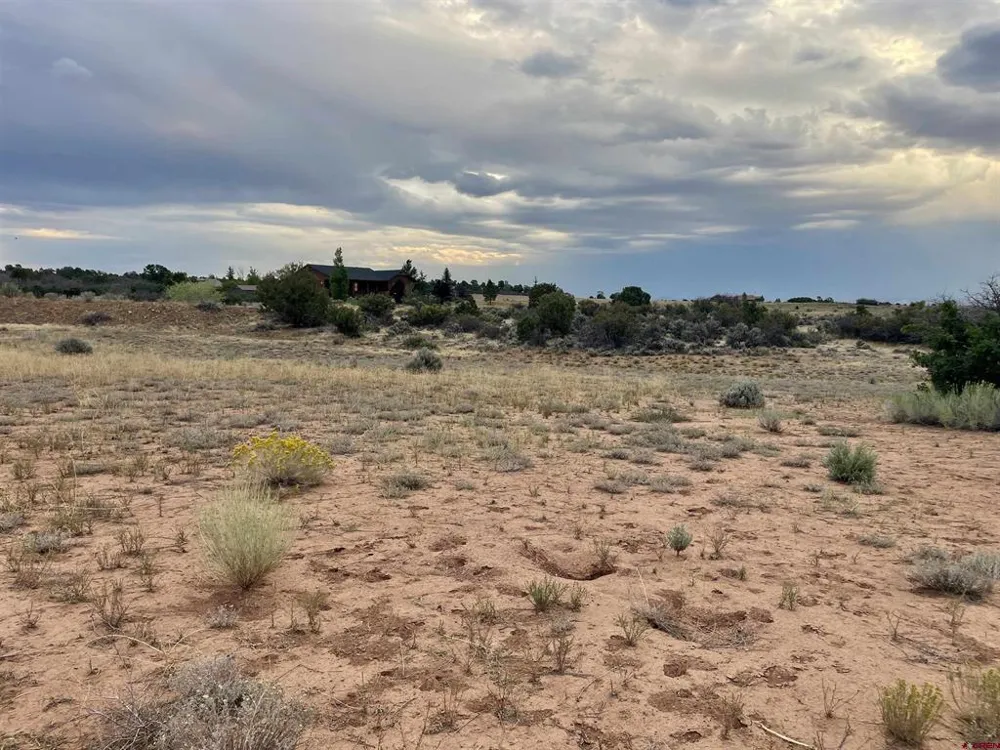 12 Road 26.4 Dolores, CO 81323