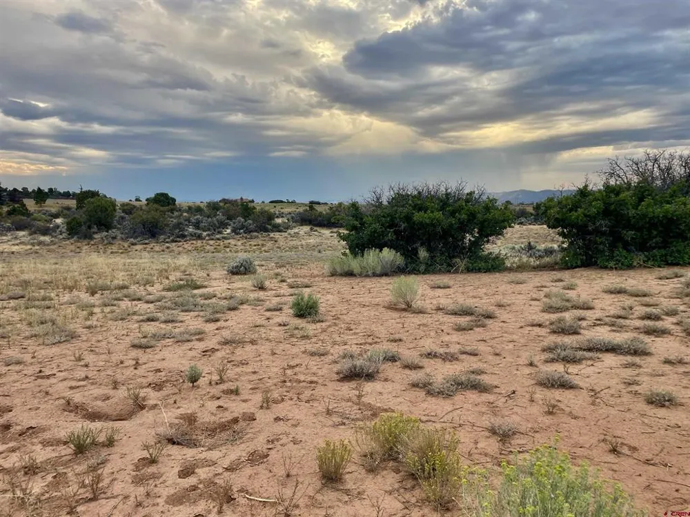12 Road 26.4 Dolores, CO 81323