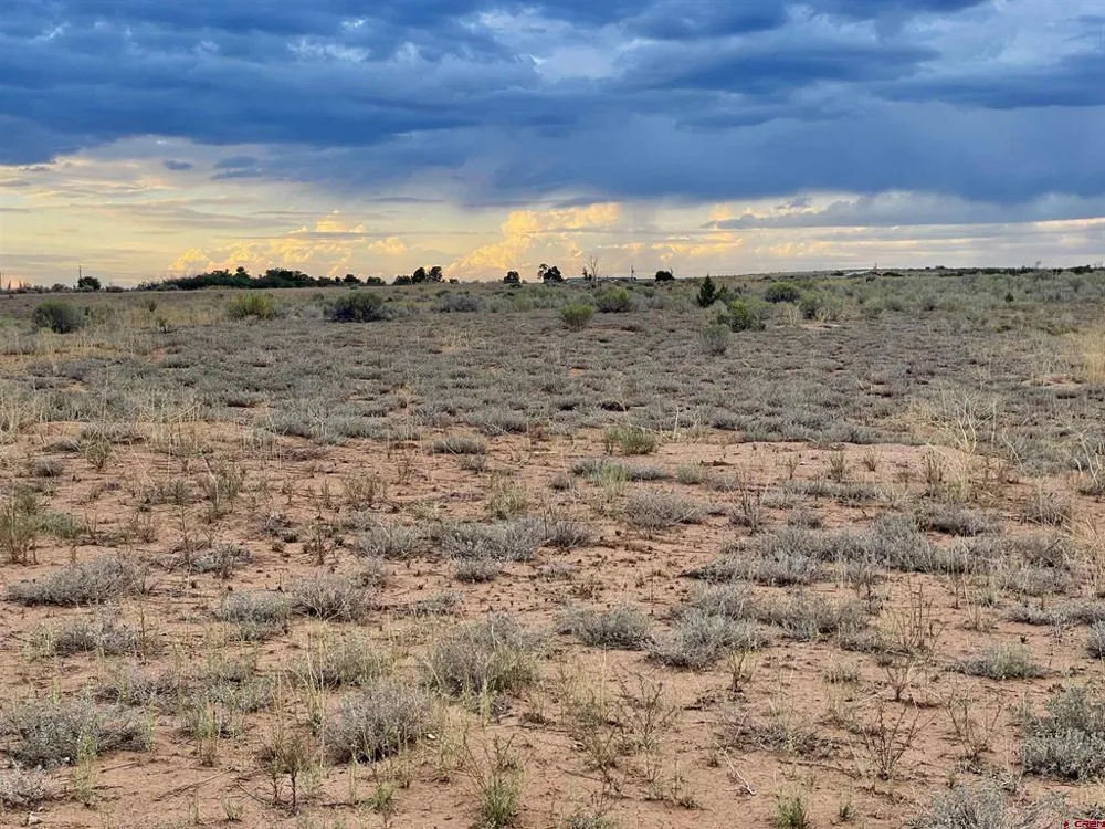 12 Road 26.4 Dolores, CO 81323