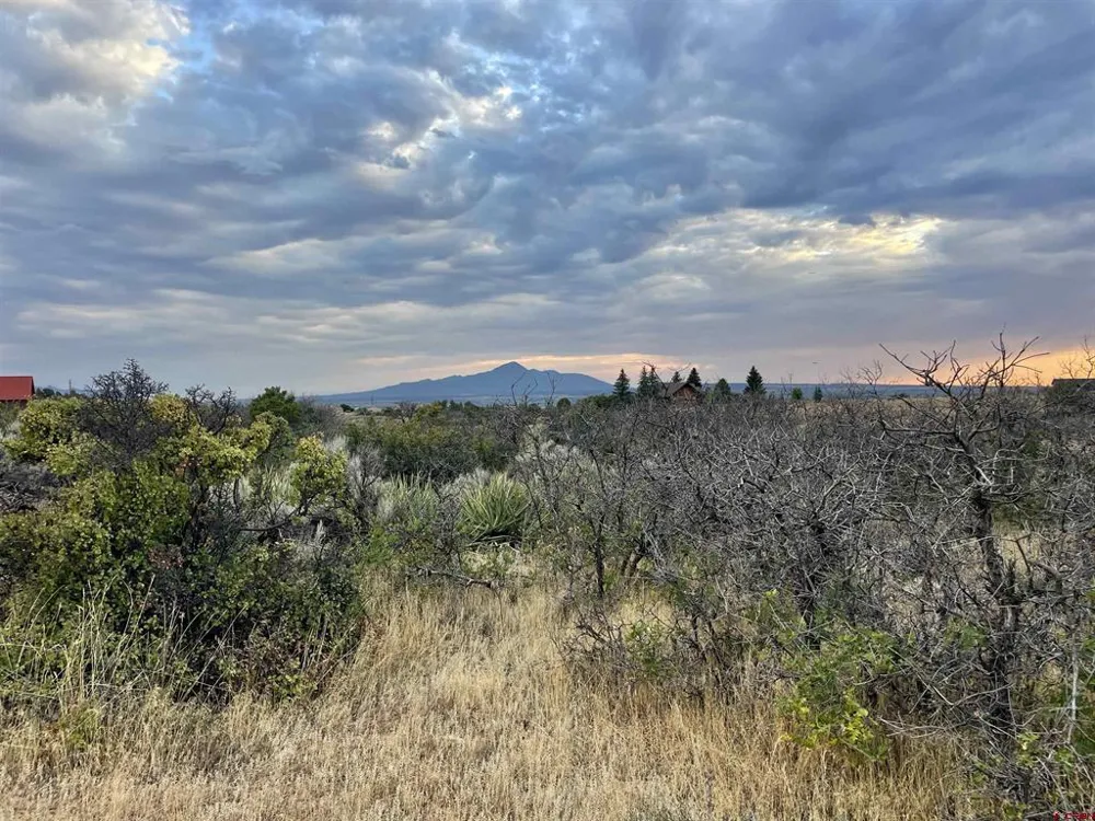 12 Road 26.4 Dolores, CO 81323