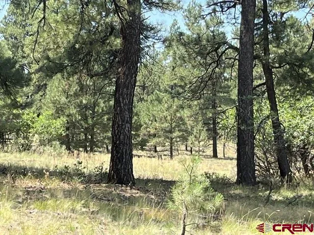 County Road 600 A Pagosa Springs, CO 81147