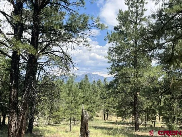 County Road 600 A Pagosa Springs, CO 81147