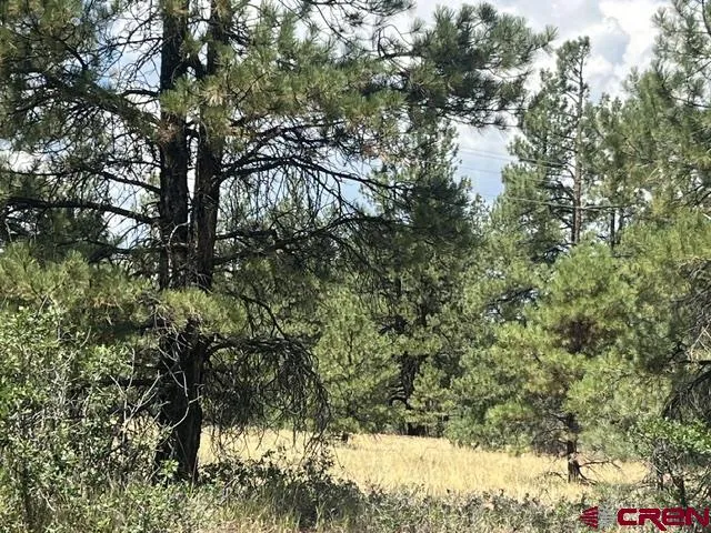 County Road 600 B Pagosa Springs, CO 81147