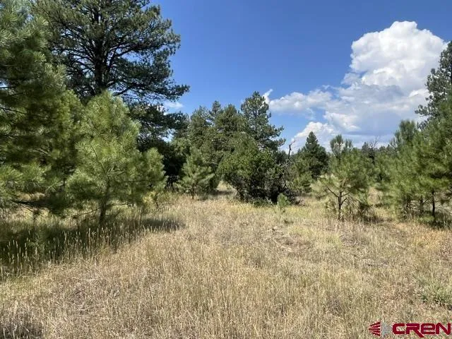 County Road 600 B Pagosa Springs, CO 81147
