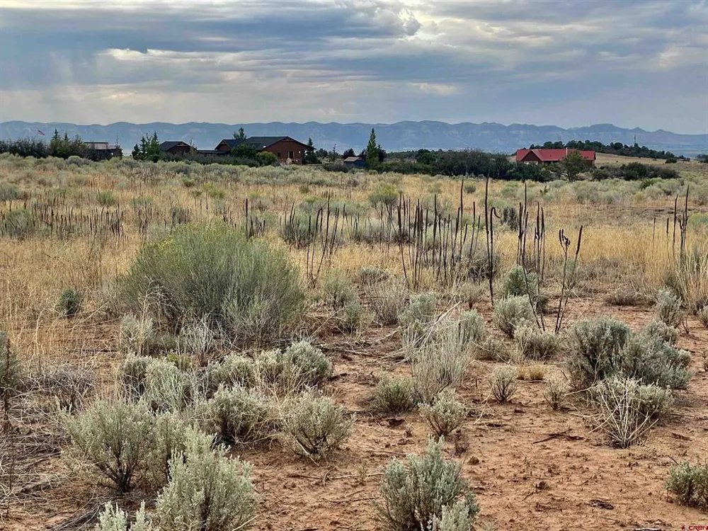 1 Road 26.4 Dolores, CO 81323