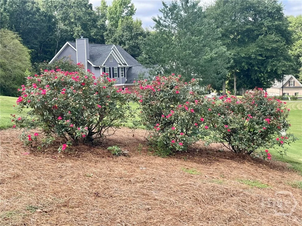 930 Vinings Drive Winder, GA 30680