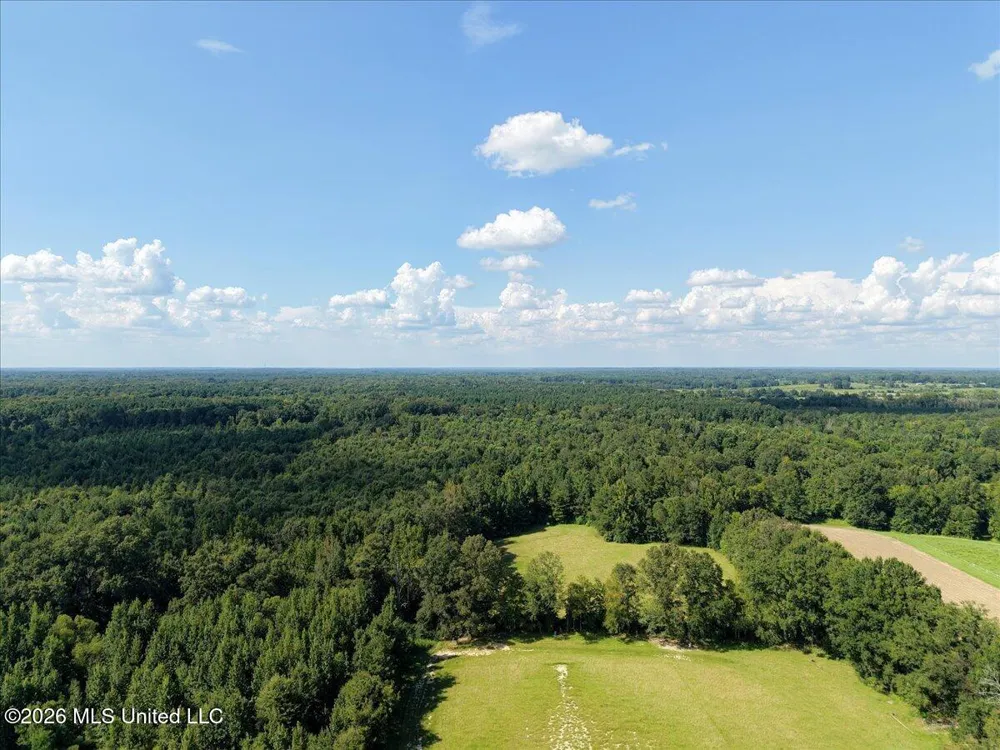 3224 Old Jackson Road Forest, MS 39074