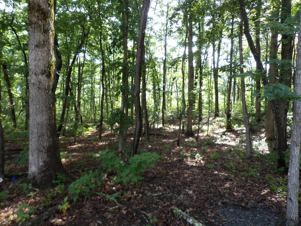 87 Apple Road Pikeville, TN 37367