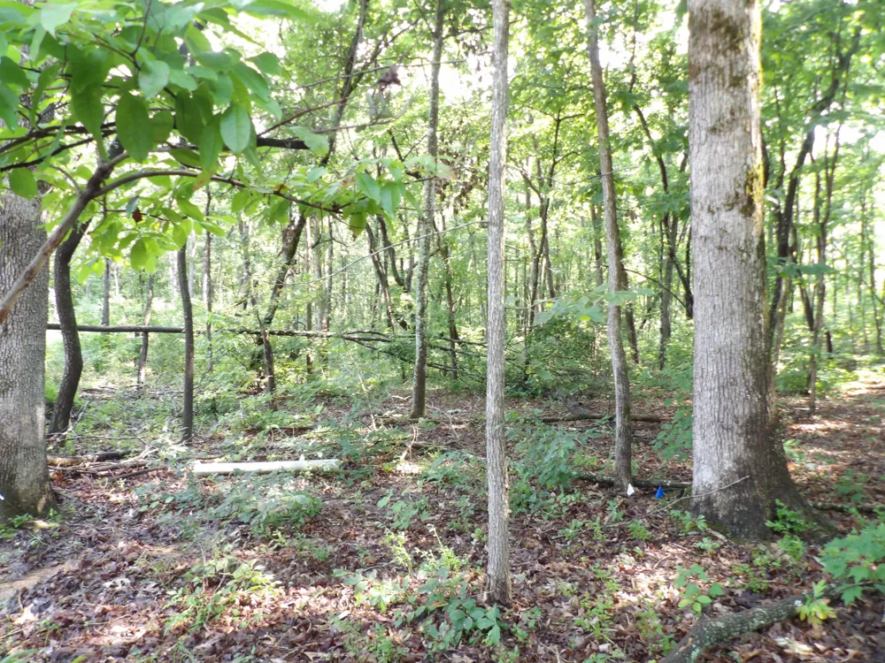 87 Apple Road Pikeville, TN 37367